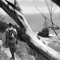 Julian Thewes's Photo
