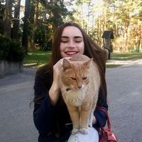 Fotos de Sasha Lapitskaya