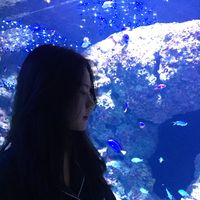 Mingjun Yang的照片