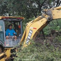 Coba Yamashita的照片