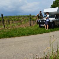 Remo & Oliver Lins的照片