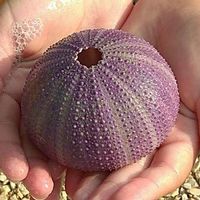 Karsten Hoyer的照片