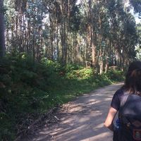 Cristina Ruiz's Photo