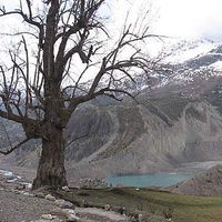 Lorenzo Coccimiglio's Photo