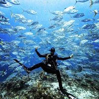 Khaled Mohamed's Photo