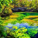 Exploring Cenote Azul 's picture