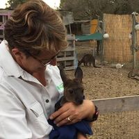 Rosemarie Williams的照片