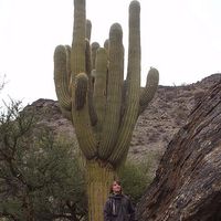 Pierre Goffart's Photo