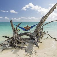 wanderlust_wanderer的照片