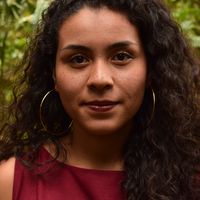 Sofia Montoya的照片