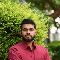 M Hamza's Photo