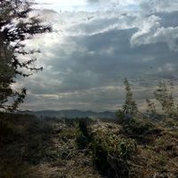 Fotos de Delaney Key