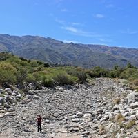 Diego Roldán's Photo