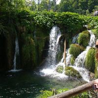 Iva Takšić的照片