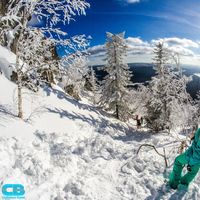 Инна Шеремета's Photo