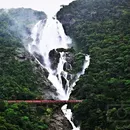 Dudhsagar waterfalls 's picture
