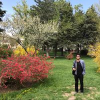 mohamad motaghed's Photo