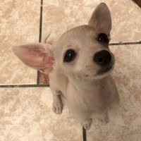 Jonathan  Aaa的照片