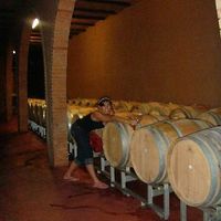 Fotos von Helen Gradstein