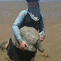 Zdjęcia użytkownika Narges Mashkour