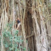 Maria Yurchenko的照片