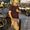 Harsha Ratnavali's Photo