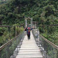 Le foto di Carolina Roja