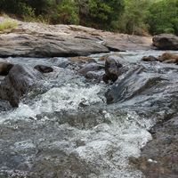 Thilanka Senivirathna's Photo