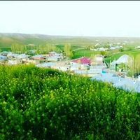 Photos de Mehmet  aslan