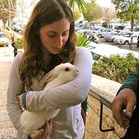 Sara Levine的照片