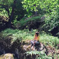 Maryam Pashang's Photo