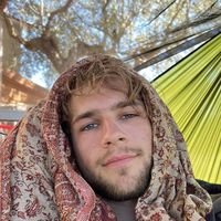 Photos de Lion  Lehmann