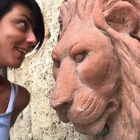 LITTLELIZARD的照片