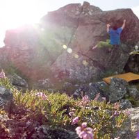 Donald Stewart's Photo