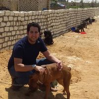 AbdulRahman Ghoneem's Photo