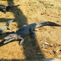 Fotos de Bruno Vázquez