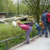 Fotos de Melissa Buitenweg