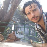 Stav Ferrera的照片