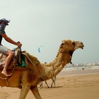 dixon gonzález的照片