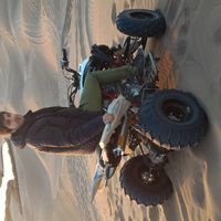 pedram shokohi's Photo