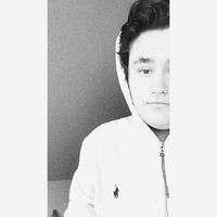 Robin Černoušek's Photo