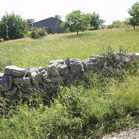 Mathias Wyatt's Photo