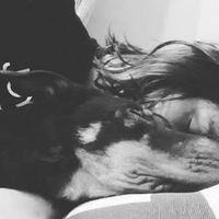 Sebastián Adames的照片