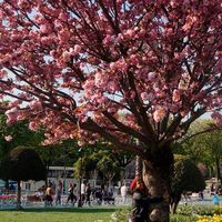 Jinne Benjumea's Photo