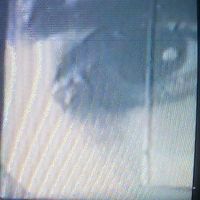 Фотографии пользователя Augusto Gerardi