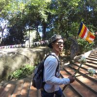 Tolarino Fcc的照片