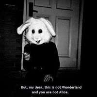 Tuğba Çalışkan的照片