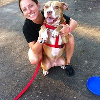 Photos de Nicky Mansfield