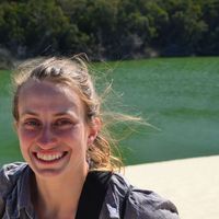 Diane Haering的照片