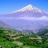 Mahmood Moarref's Photo